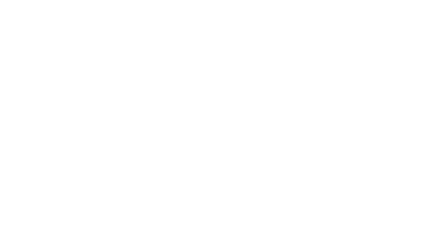 Logo Loon plage blanc